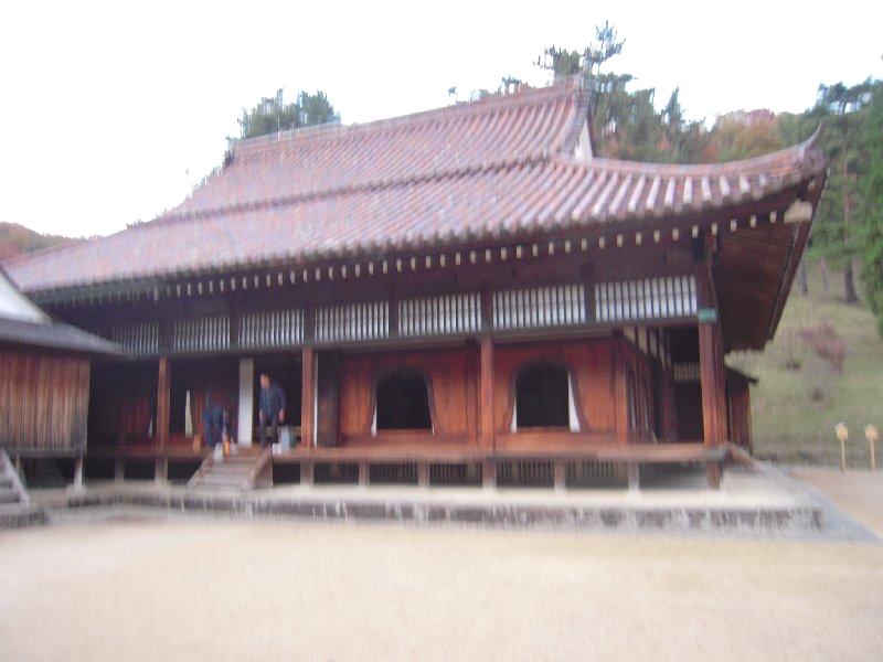 閑谷学校楷の木_1