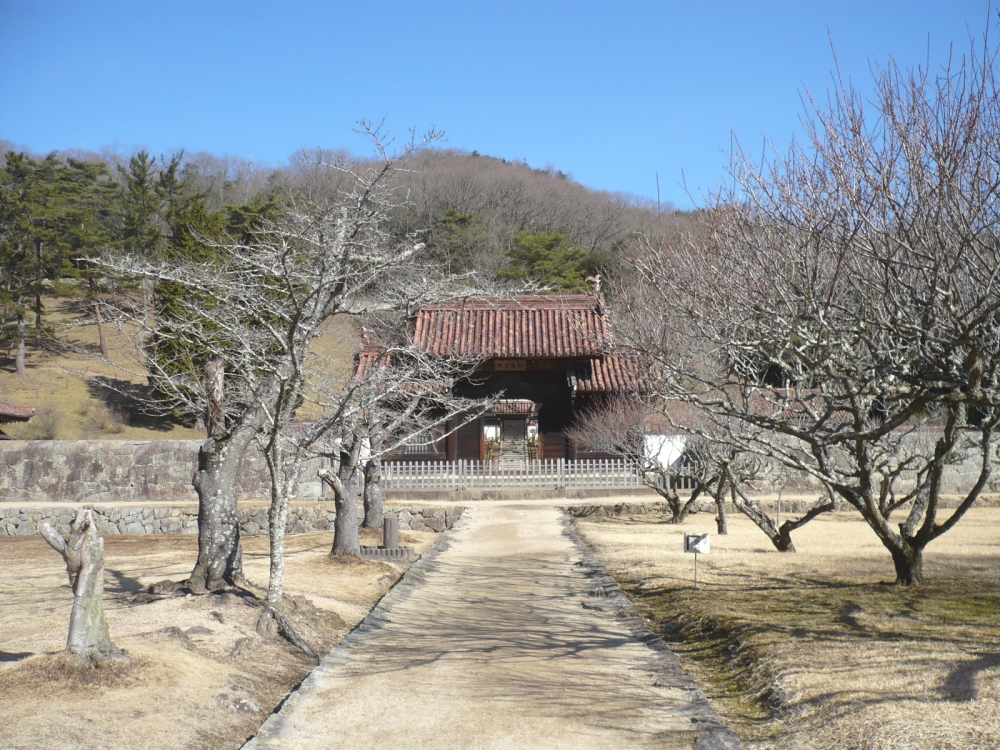 閑谷学校楷の木