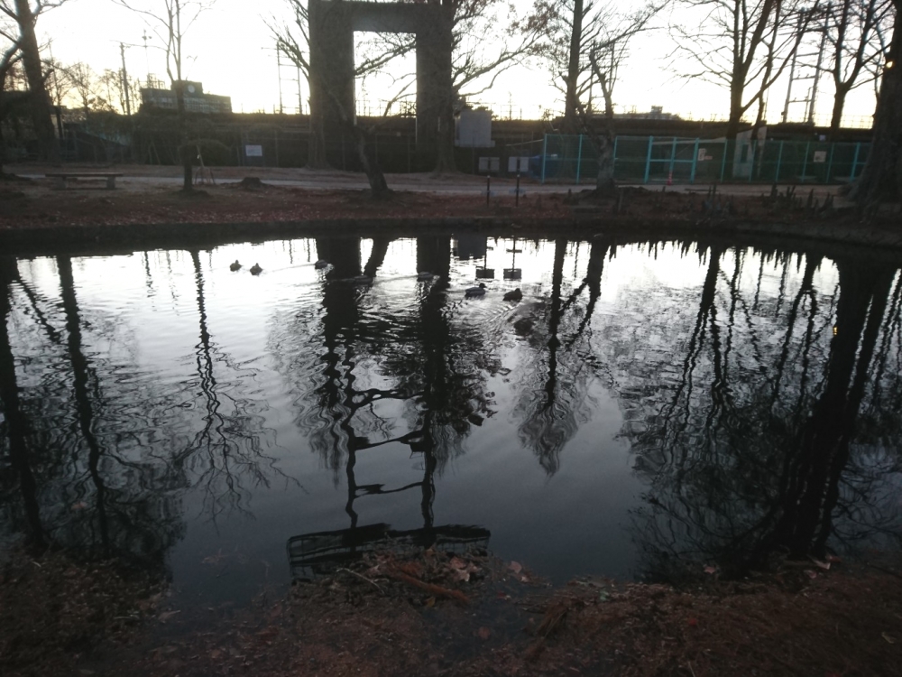 岡山県総合グラウンド_2