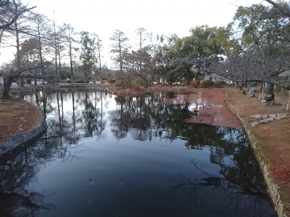 岡山県総合グラウンド_1