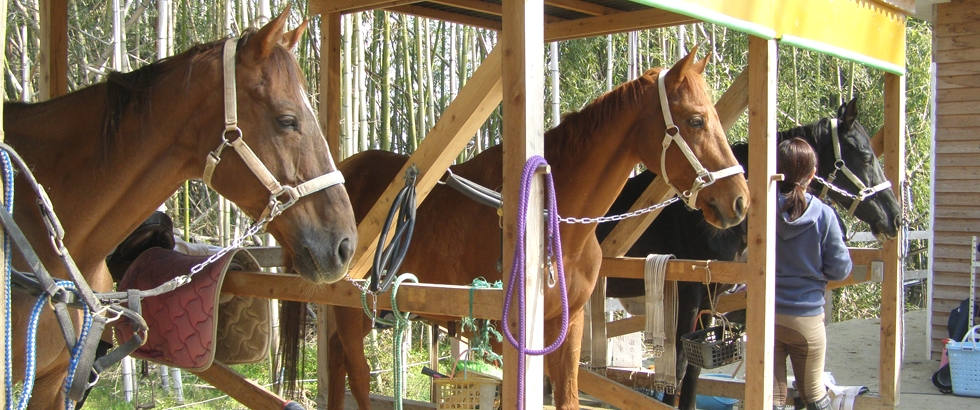 グレース・ライディングクラブ