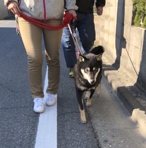 ペットシエルビジネススクール_7