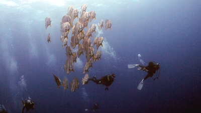 エポックダイブサービス_3