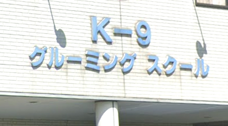 Ｋ‐９グルーミングスクール