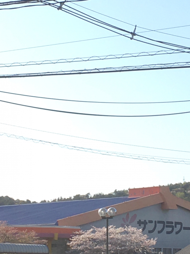 サンフラワースイミングスクール