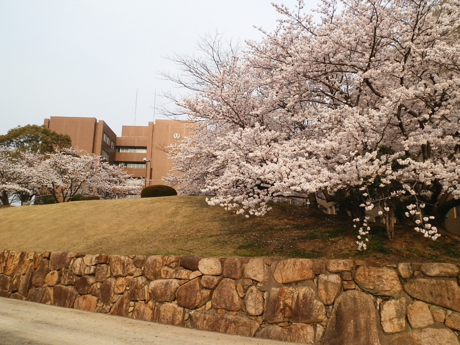 川崎医療短期大学_2