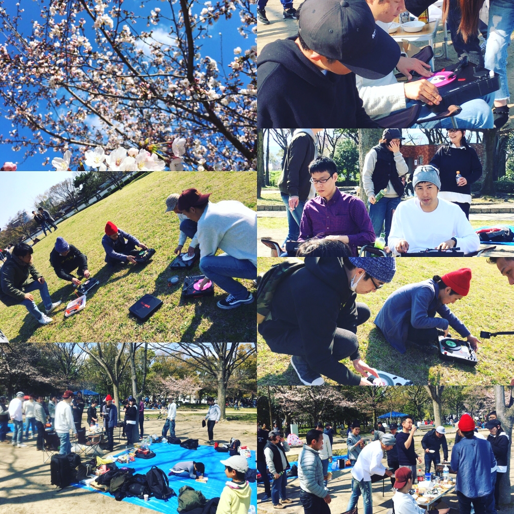 SDC.(Scratch Delights Co.)_1