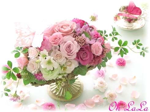 フローラル秋桜