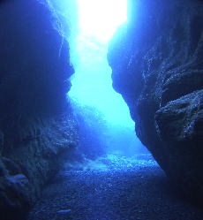 ＷＩＴＨダイビングショップ北九州店_3