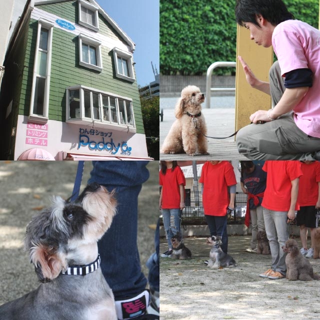 訓練士養成学校　パディアトレーナーズスクール