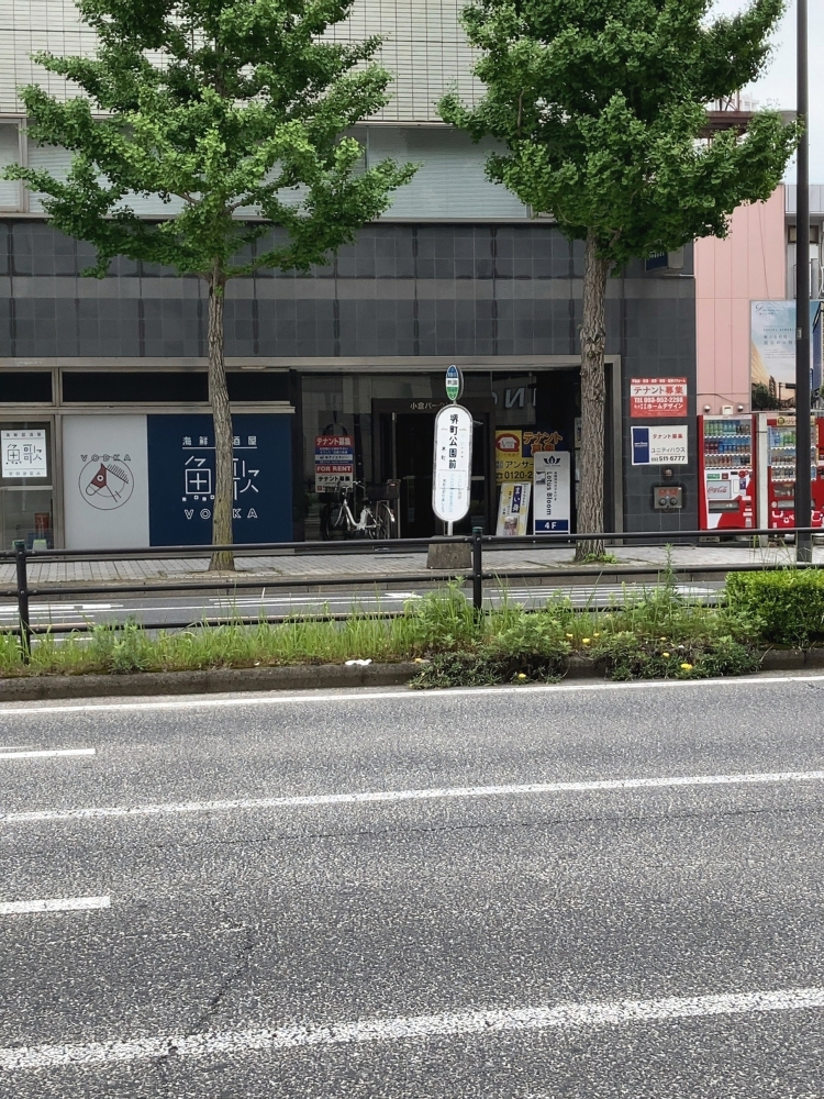 ロータスブルーム(Lotus　Bloom)_1