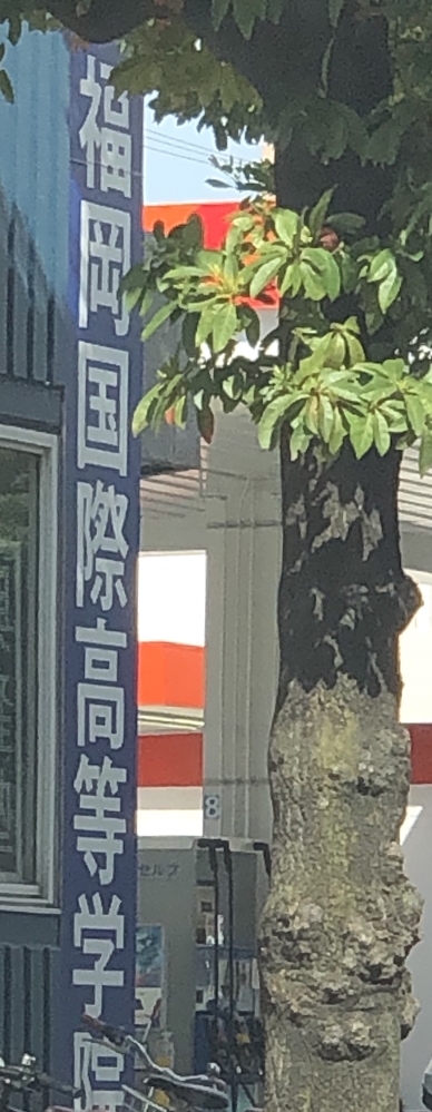 福岡国際高等学院小倉校