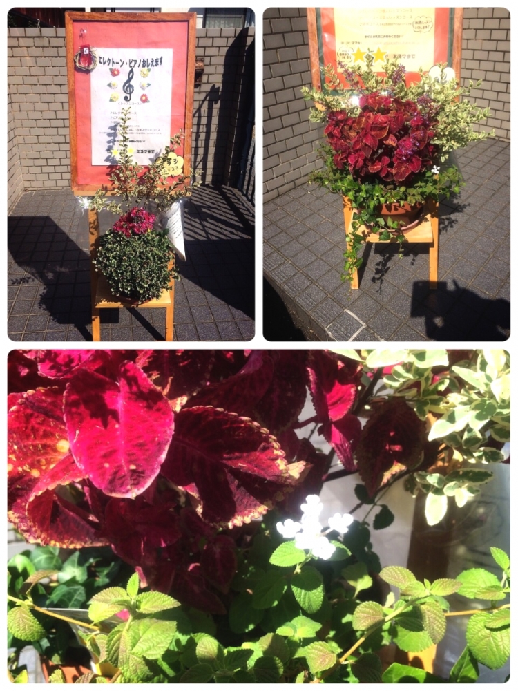 みずま音楽教室