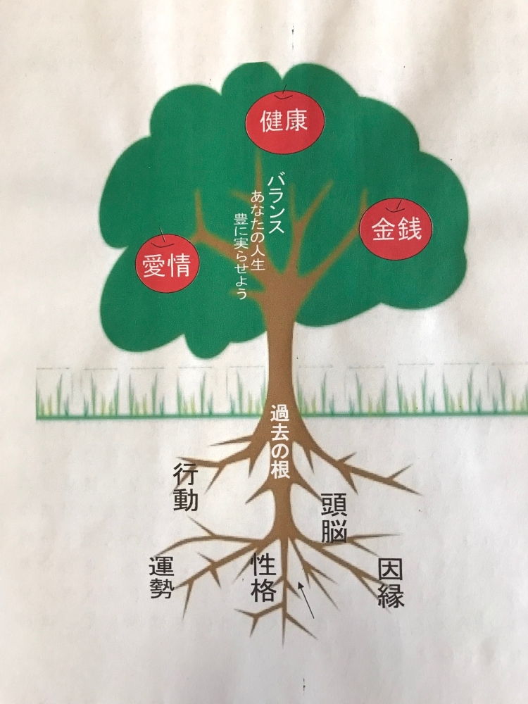 アピーオ　（姓名鑑定・自己開発トレーニング）