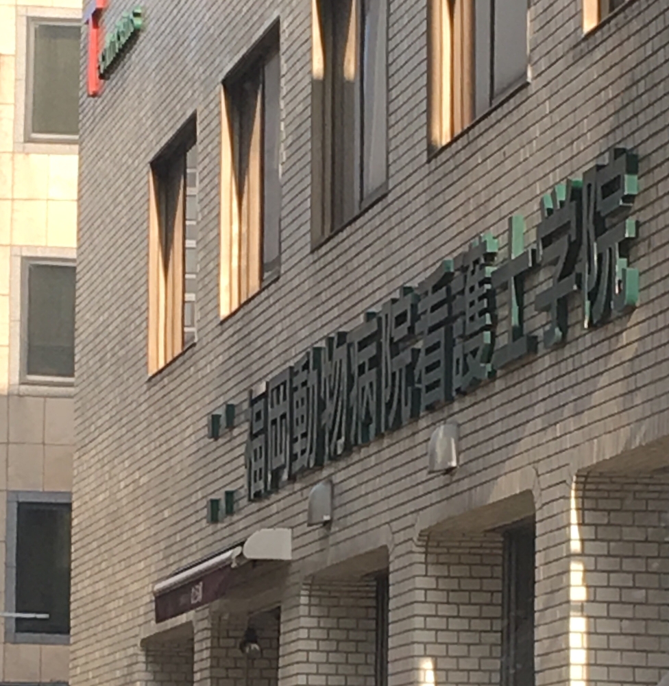 福岡動物病院看護士学院