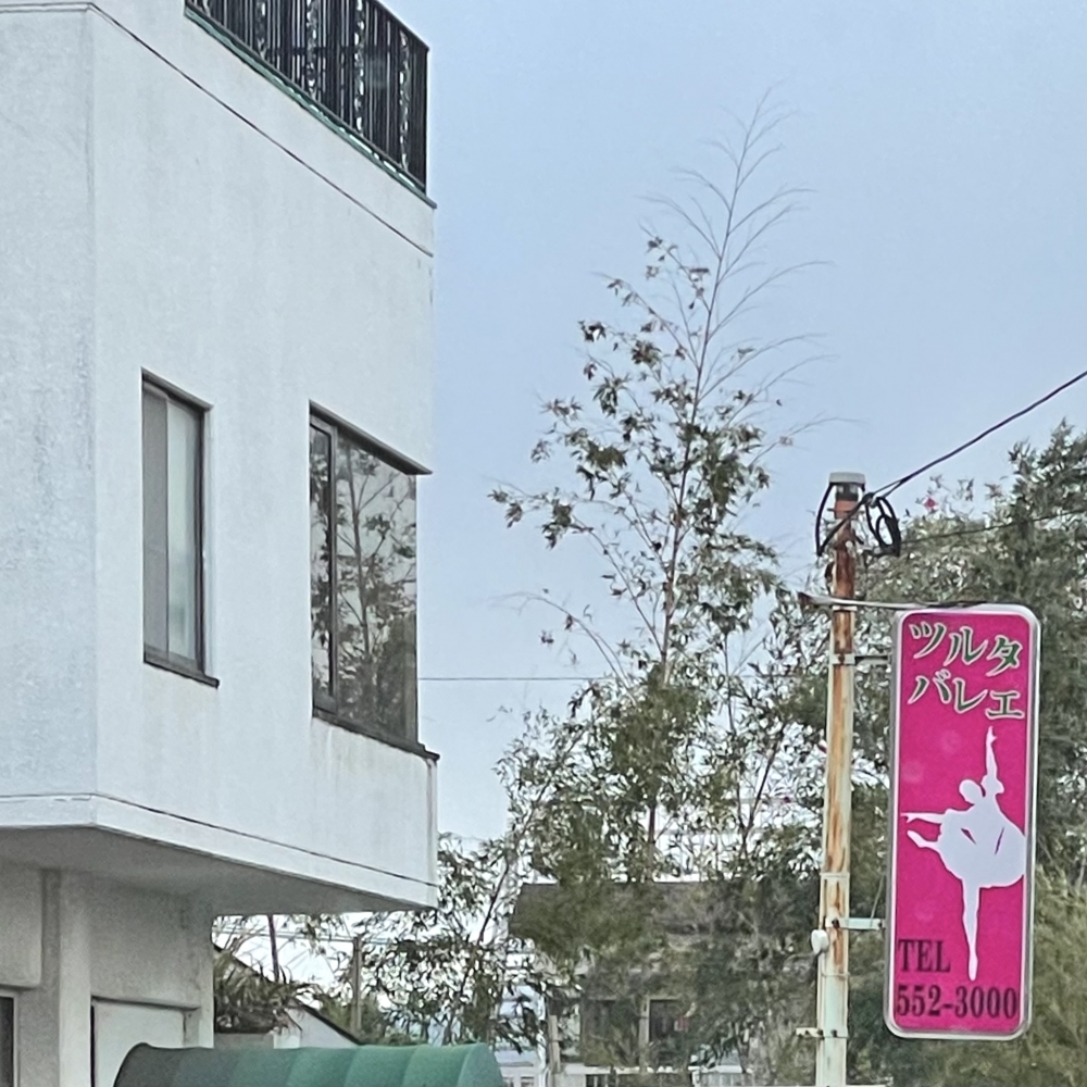 ツルタバレエ芸術学校南校_1