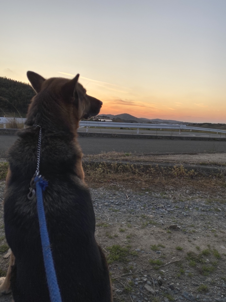 あんらいえんホース_5