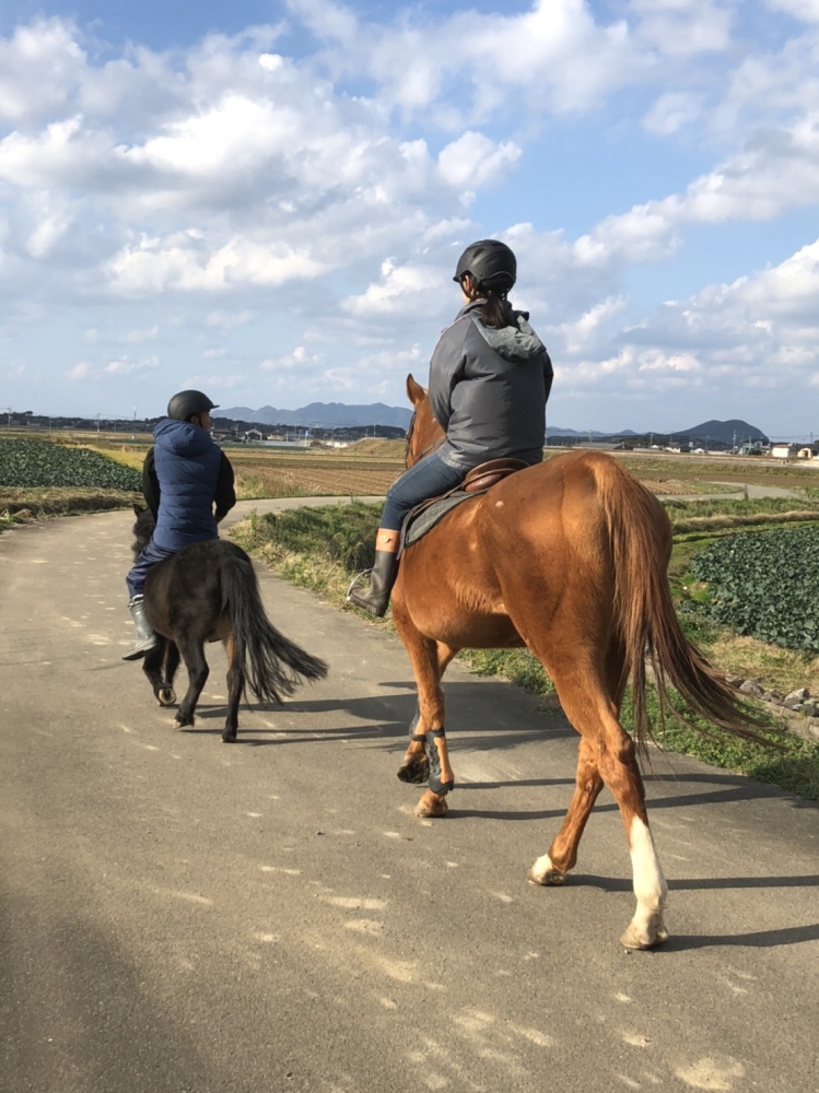 あんらいえんホース_11