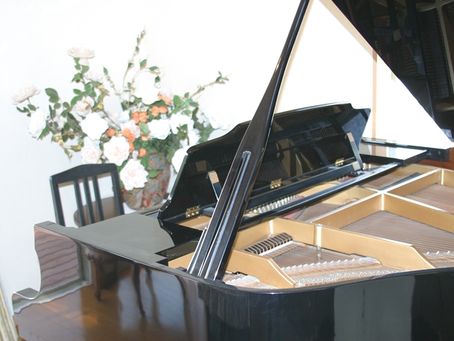 音楽療法ラディーチェ_1