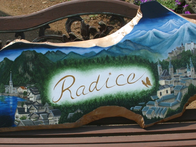 音楽療法ラディーチェ