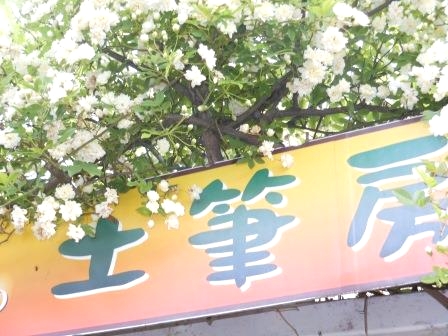 創作陶芸　土筆房(つくしんぼう）