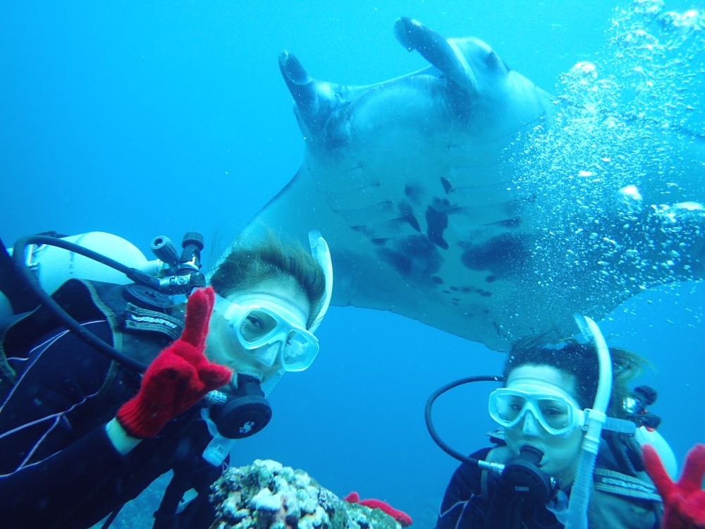 ビーブルー石垣島ダイビングサービス