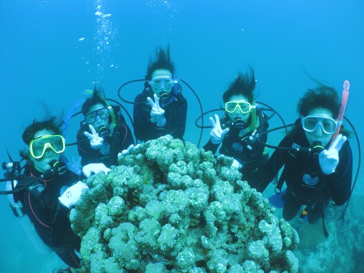 サザンダイブ石垣島_3