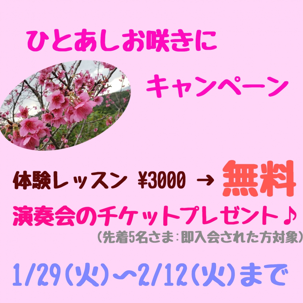 セープ音楽教室_4