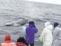 沖縄リゾート_4