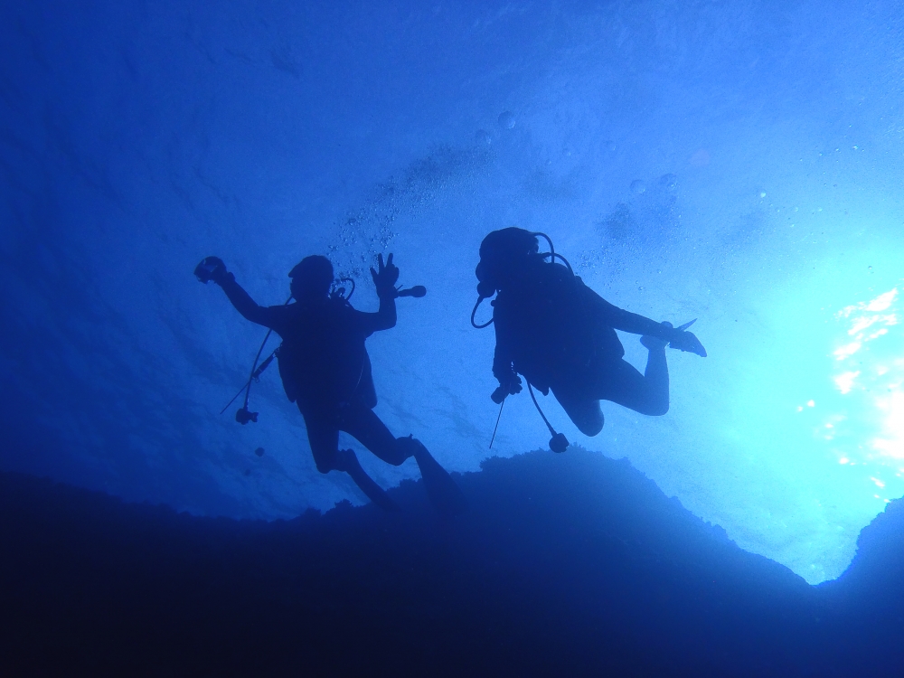 アイランドブリーズ_3