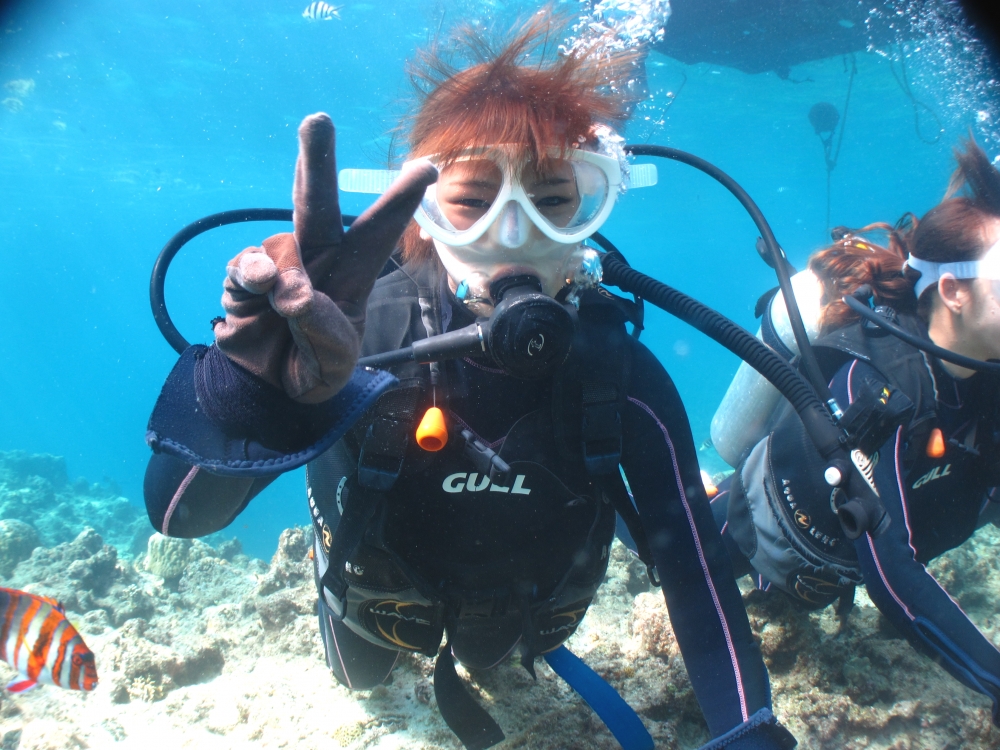 アイランドブリーズ_1