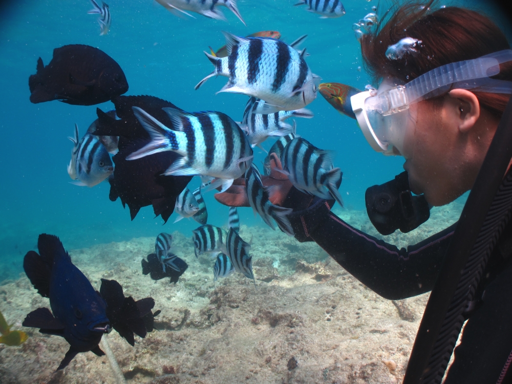 アイランドブリーズ_2