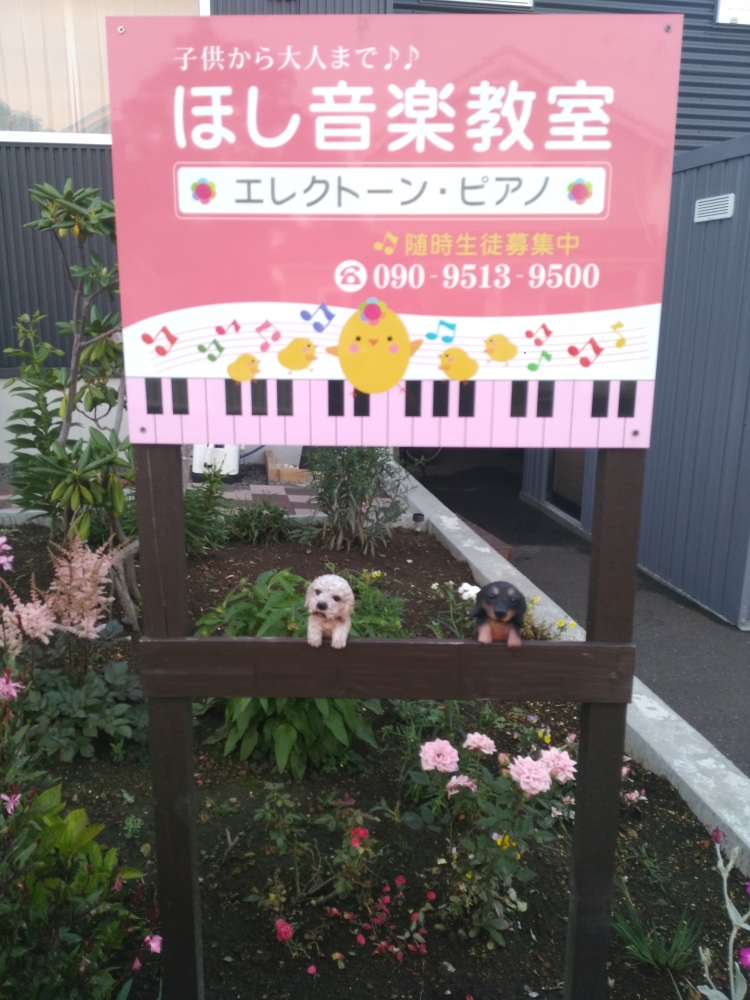 ほし音楽教室(エレクトーン、ピアノ)_1