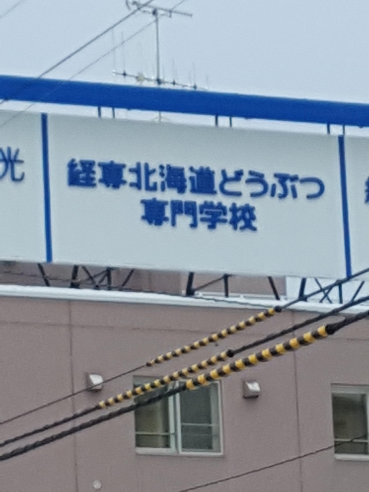 経専北海道どうぶつ専門学校