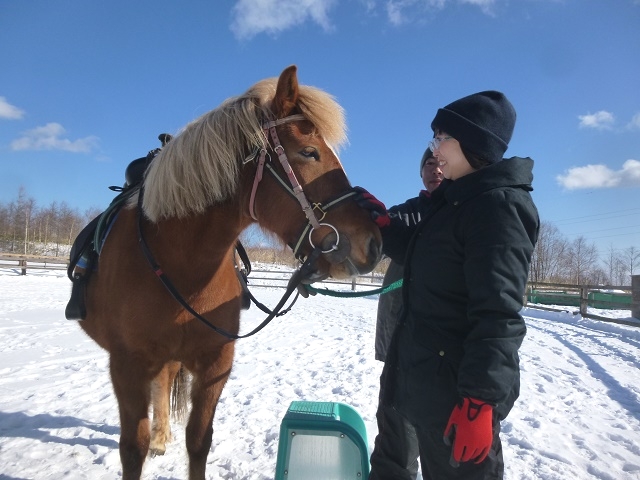 登別ホースパーク遊駿_4