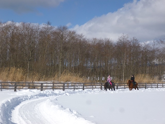 登別ホースパーク遊駿_3