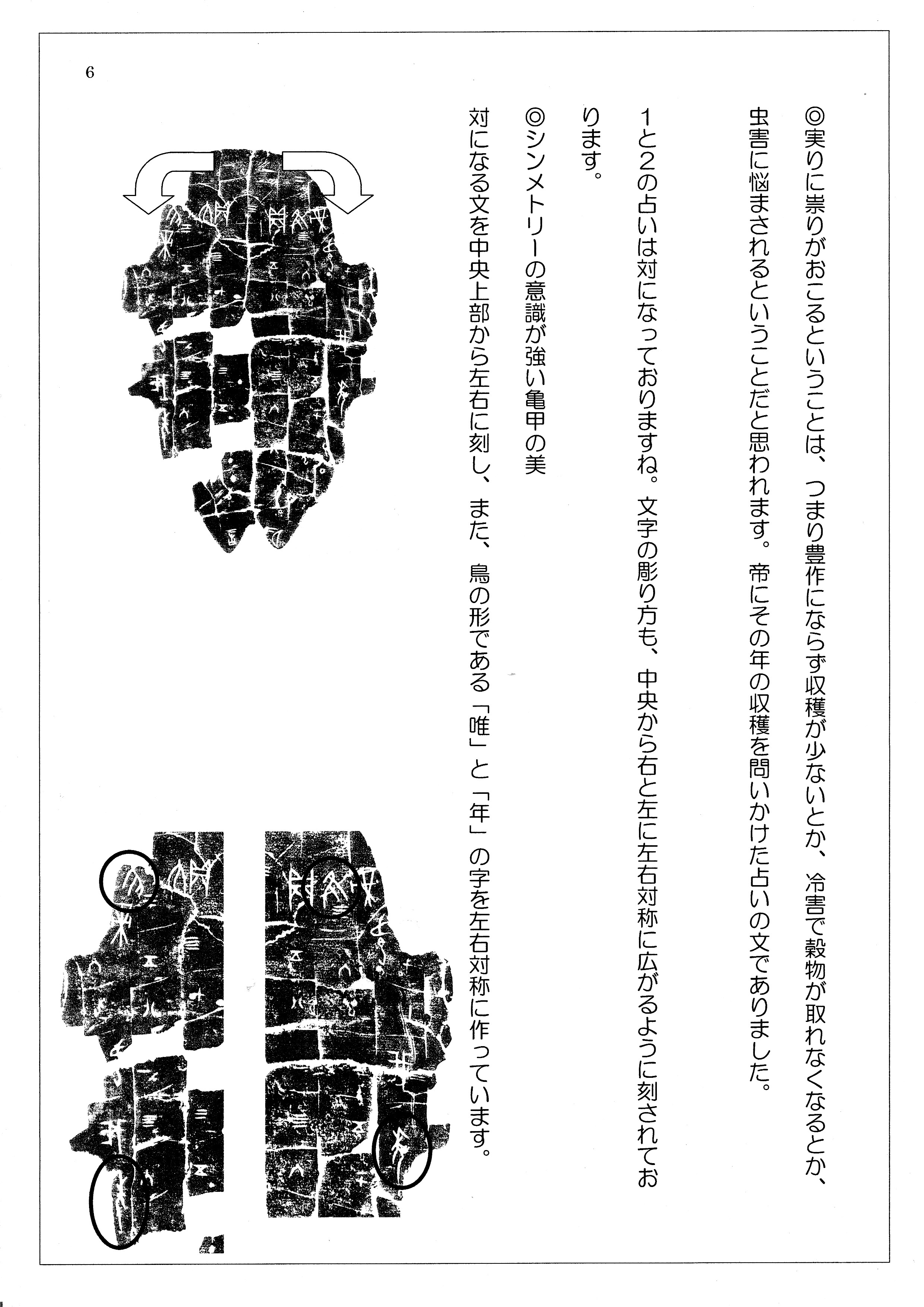 甲骨文、金文を楽しく学べる古代文字の書_3