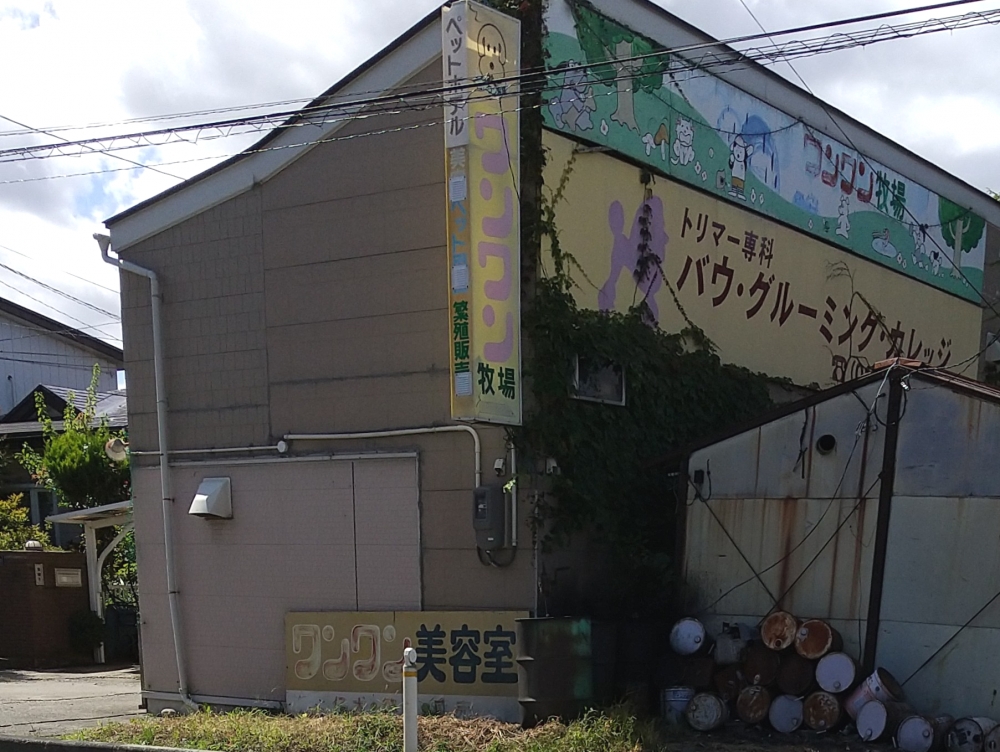 バウ・グルーミングカレッジ