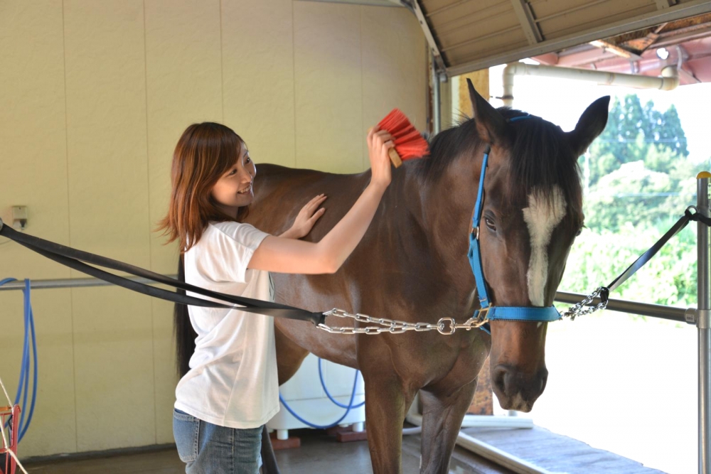 あきた乗馬クラブ_1