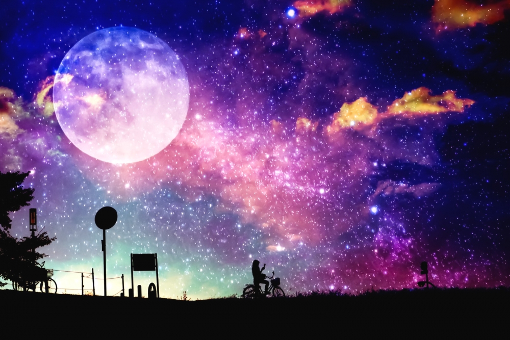 西洋占星学勉強会