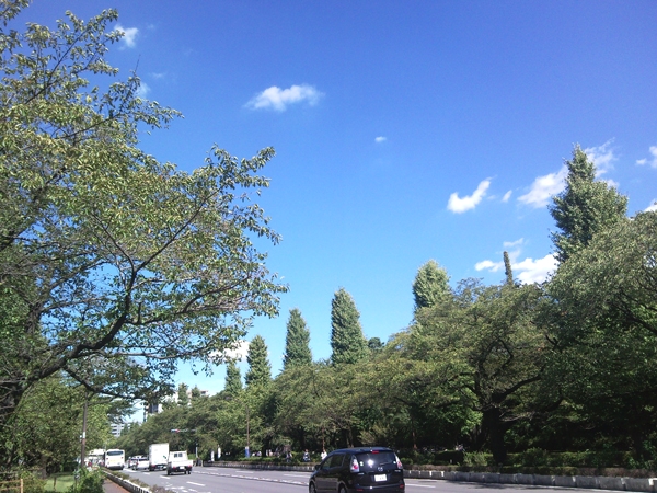 アトリエ・ルボー_1