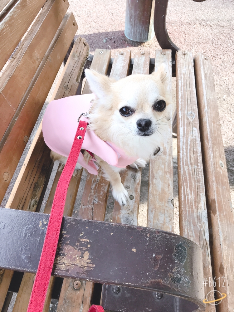 熱中症対策堂_1