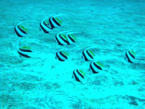 ダイビングショップ　アリエス_3