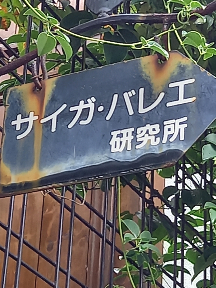 サイガ・バレエ研究所