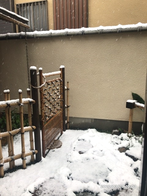 裏千家茶道教室「茶和」_4