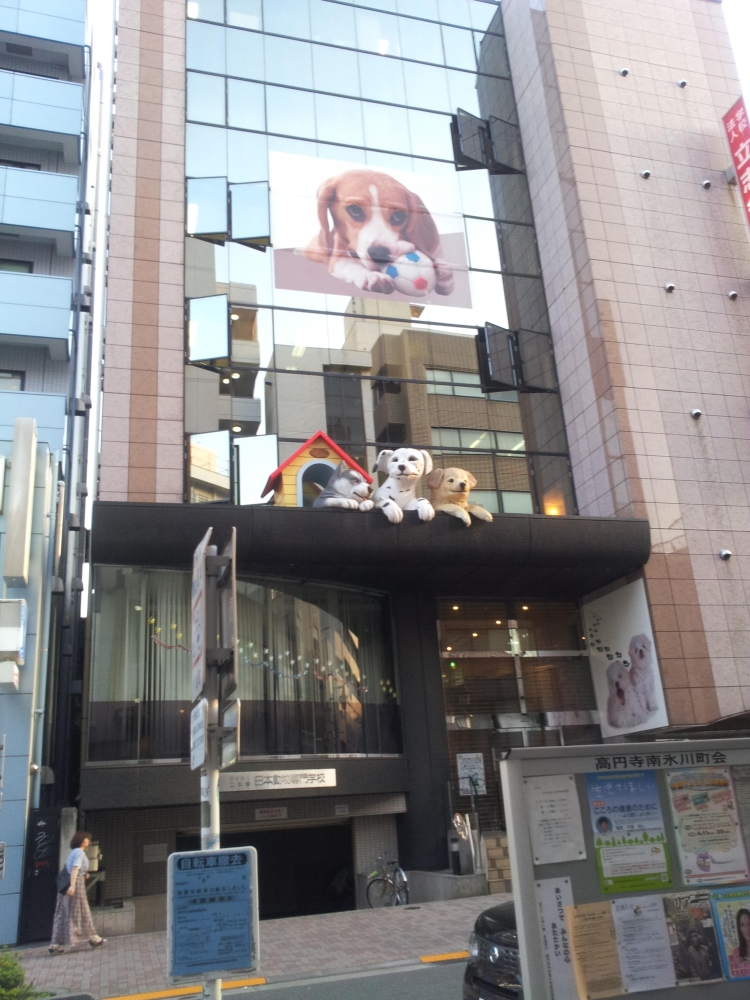 立志舎（学校法人）杉並学園本部日本動物専門学校_2