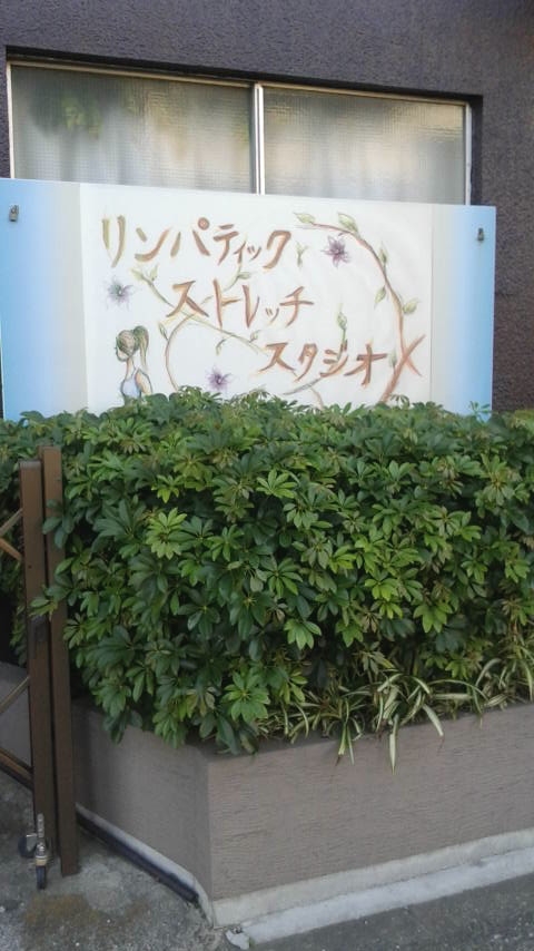 リンパティックストレッチクラス_2