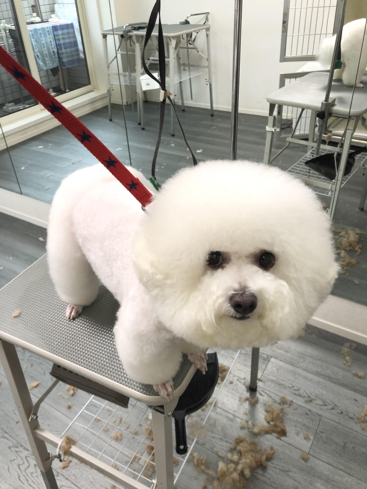 東京ペットビジネススクール