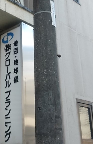 株式会社グローバルプランニング