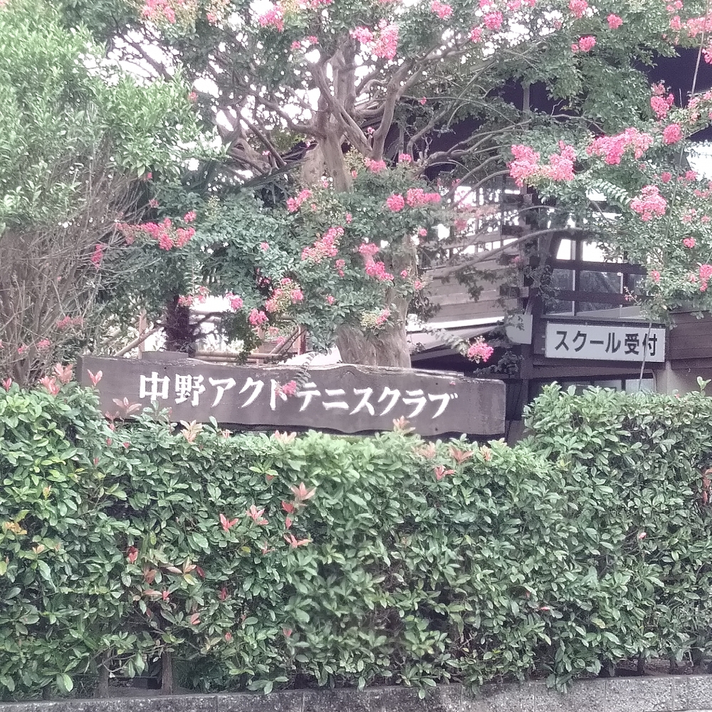 石井真テニスアカデミー中野校_4